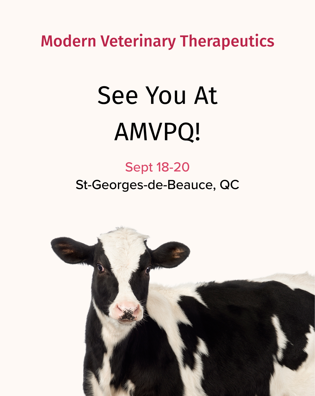 AMVPQ 2025