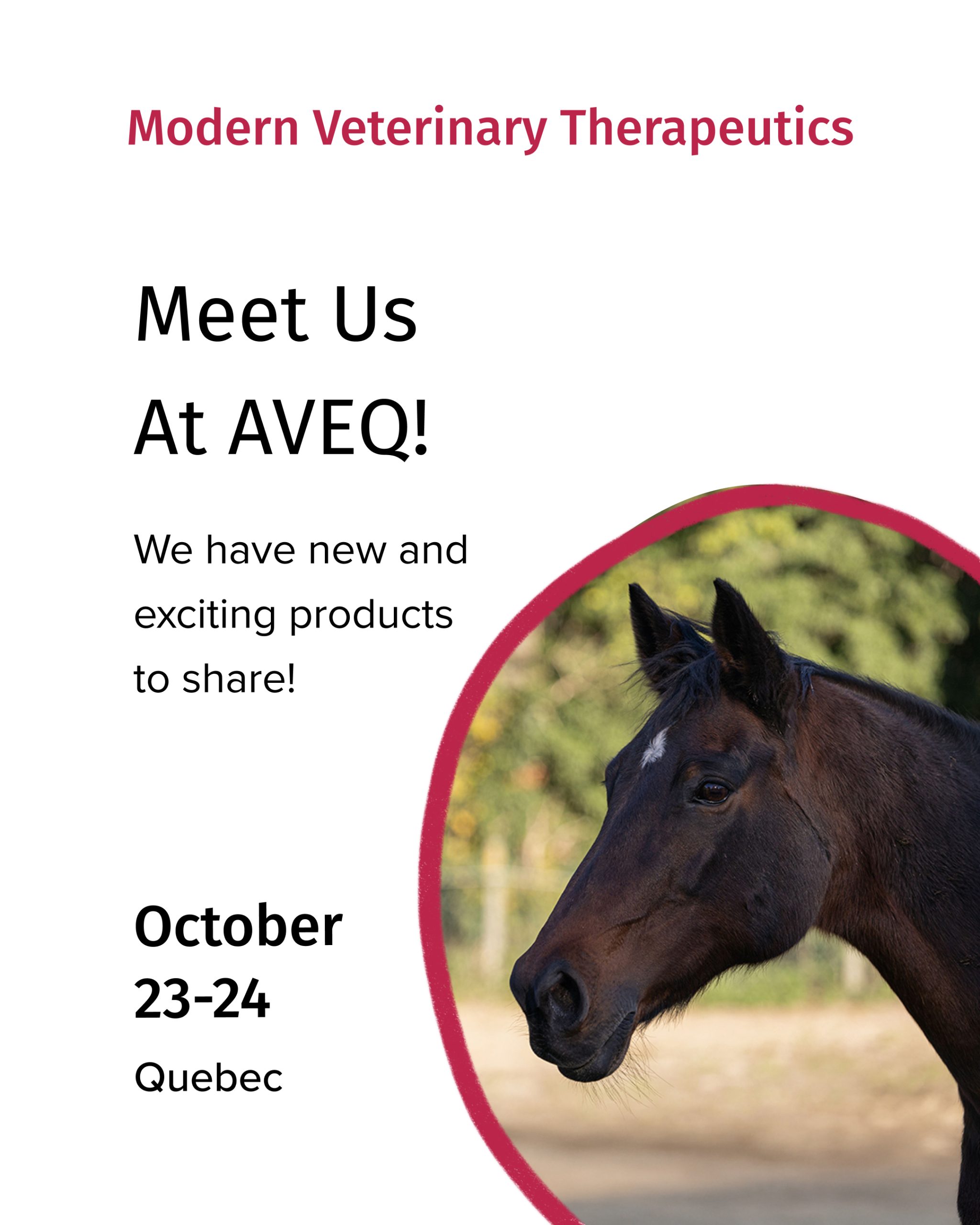 AVEQ Oct 22-24