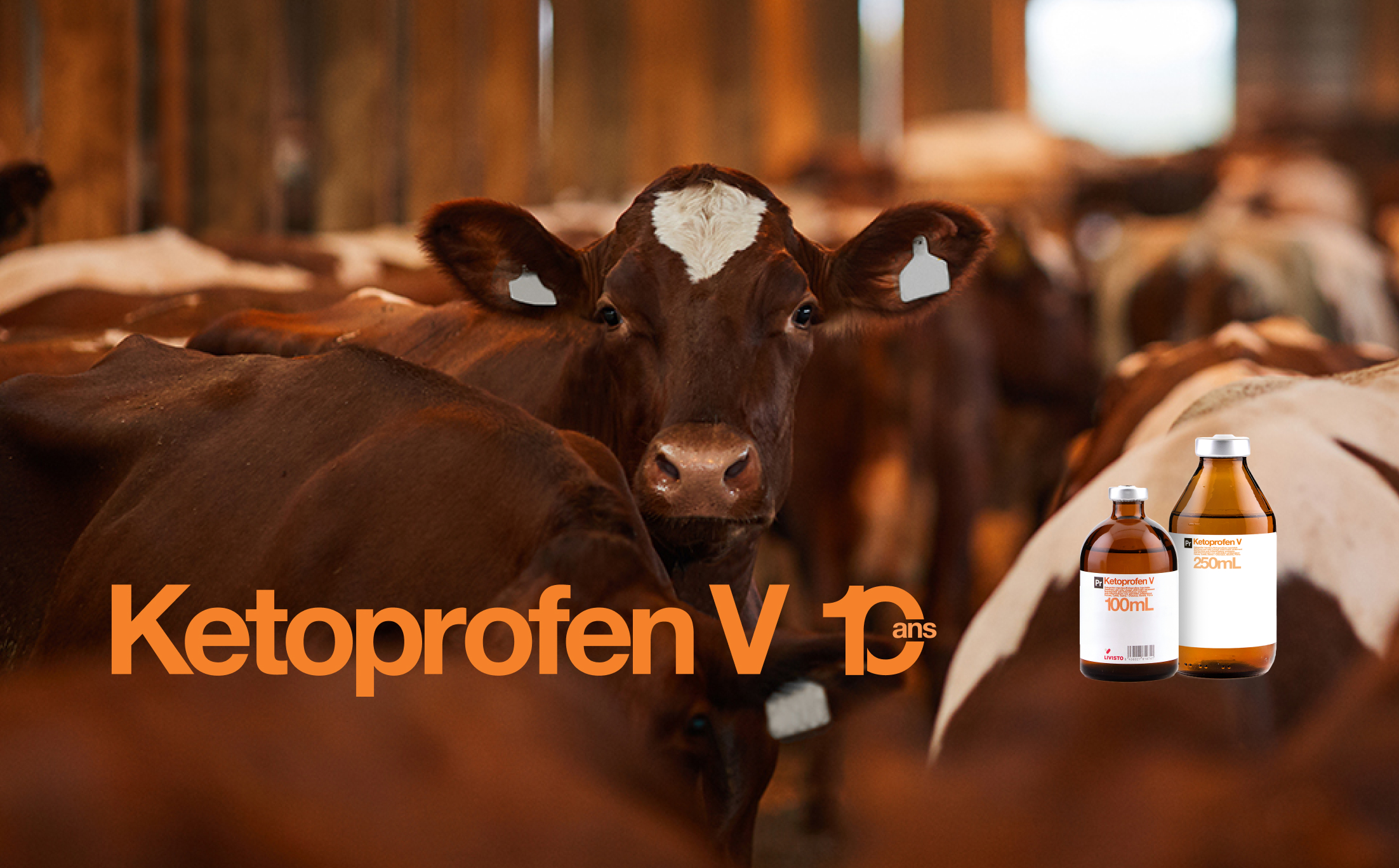 Ketoprofen V fête ses 10 ans !