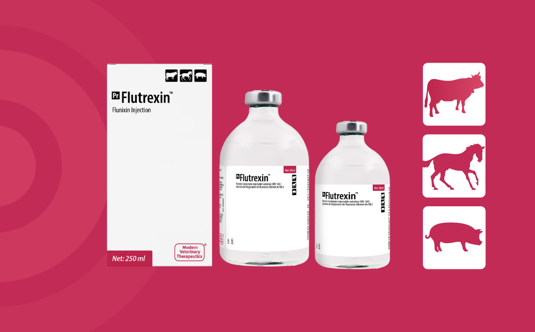 Flutrexin (flunixin) box and vials
