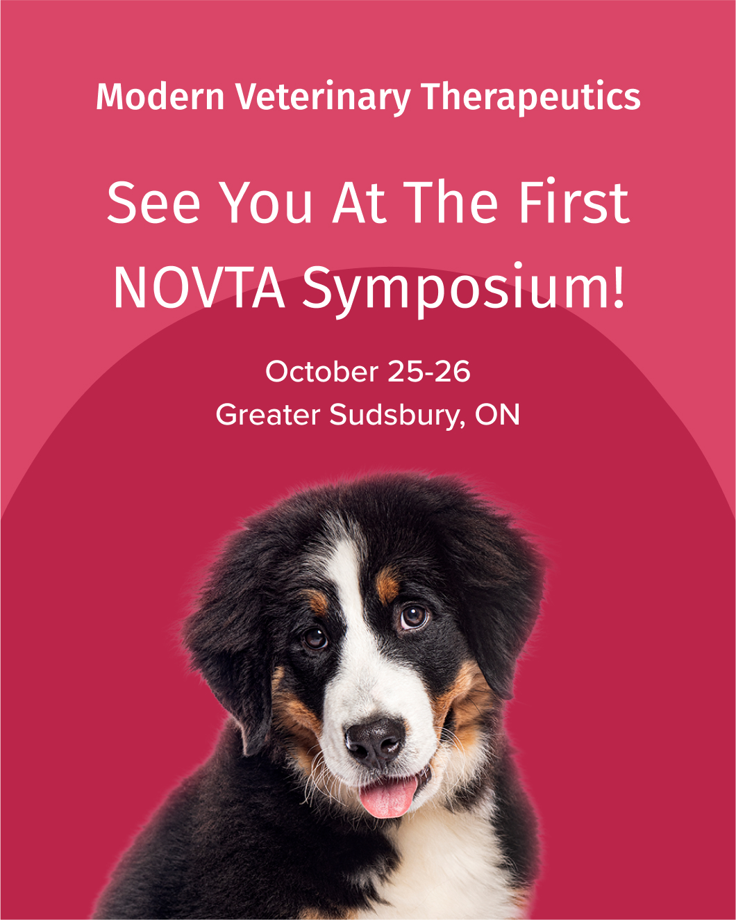 NOVTA Conference