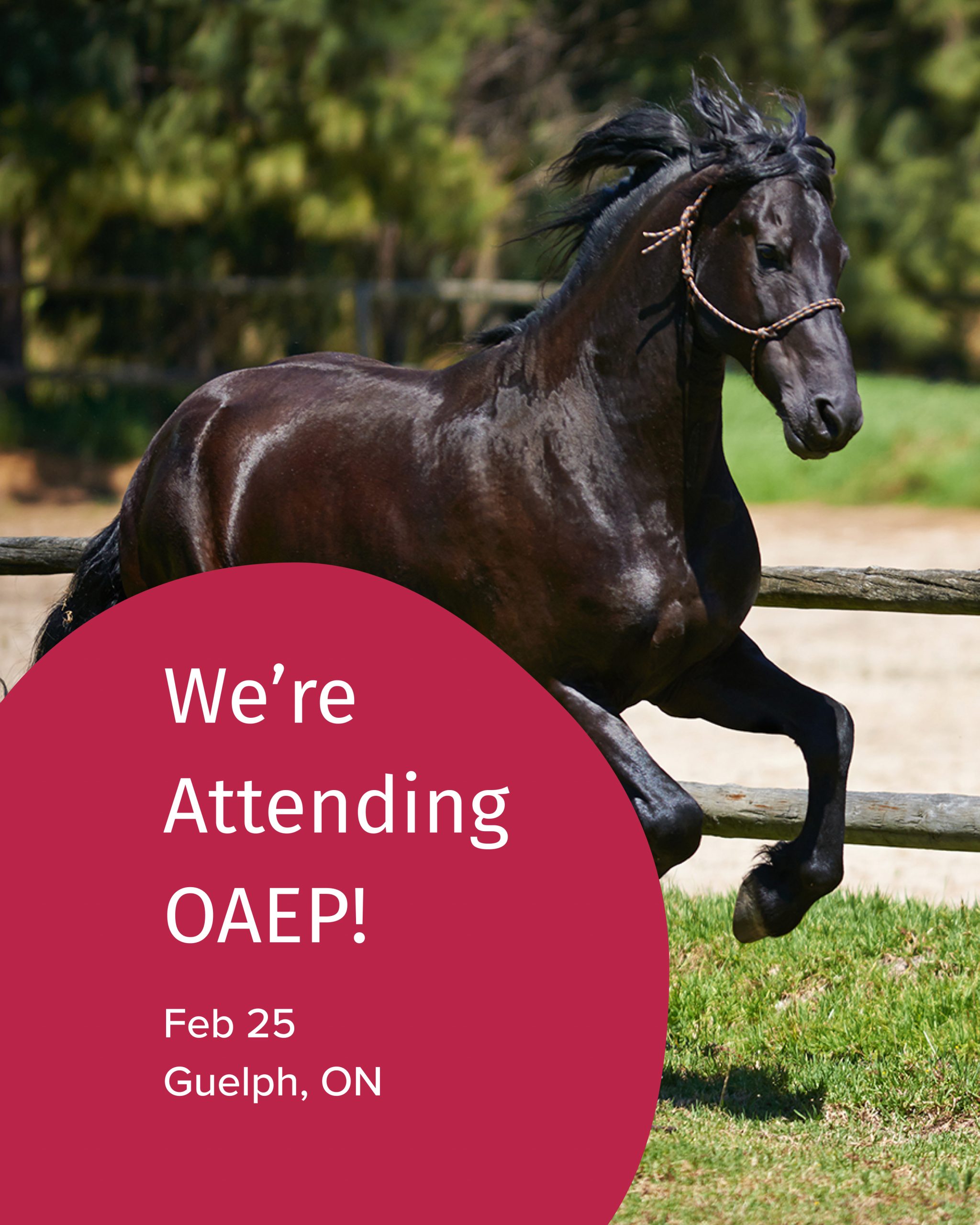OAEP Feb 25