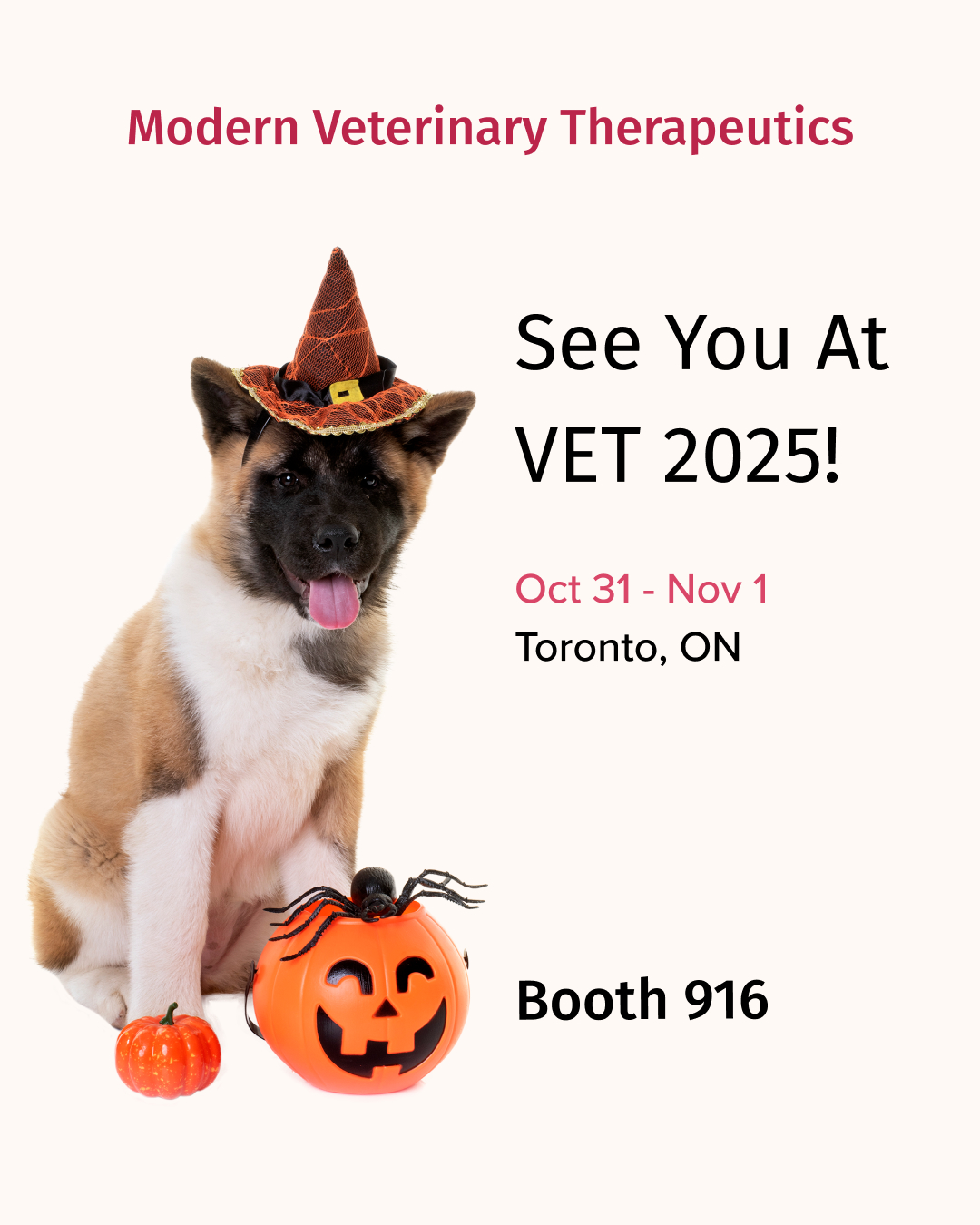 VET 2025